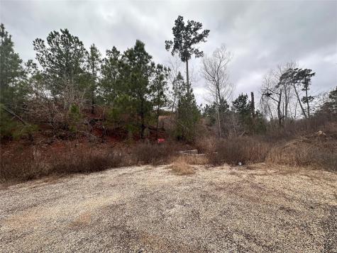 Lot 178 / R32255 Keo Kea Court Bastrop TX 78602