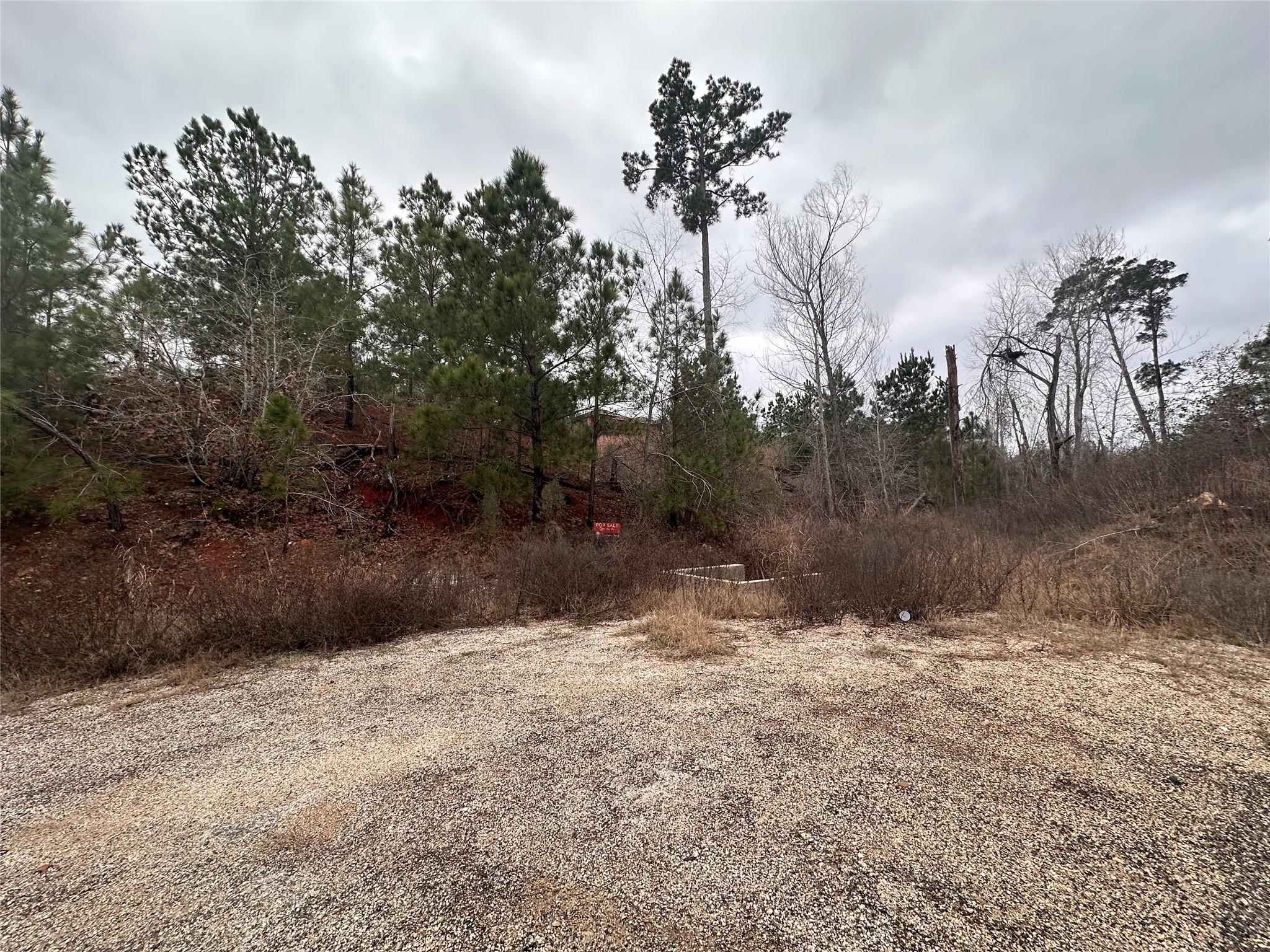 Lot 178 / R32255 Keo Kea Court Bastrop TX 78602