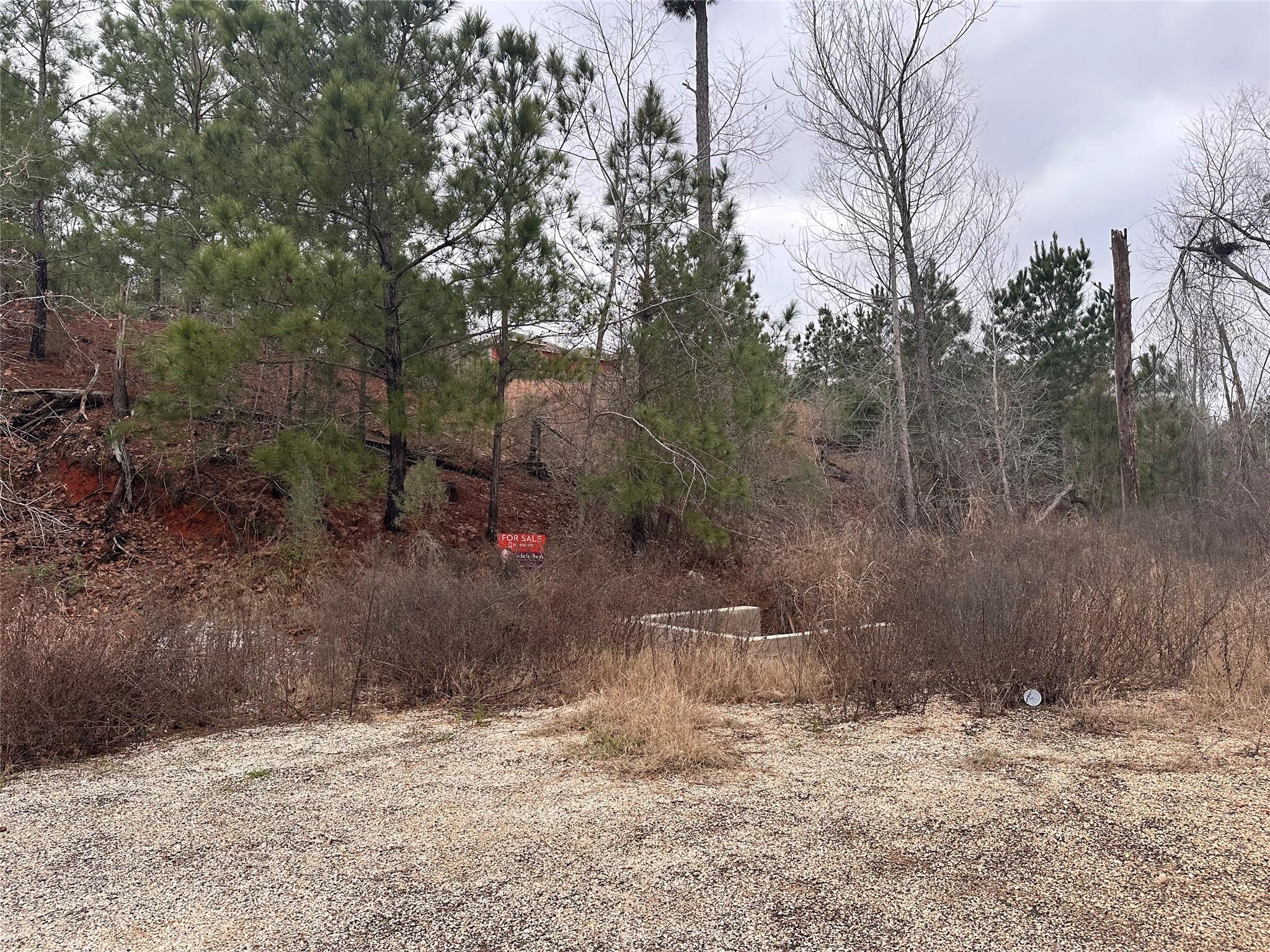Lot 178 / R32255 Keo Kea Court Bastrop TX 78602