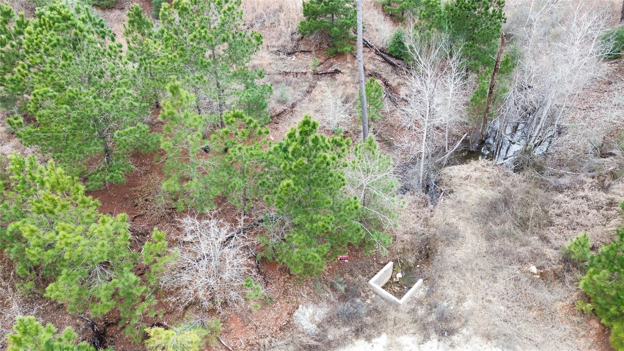 Lot 178 / R32255 Keo Kea Court Bastrop TX 78602