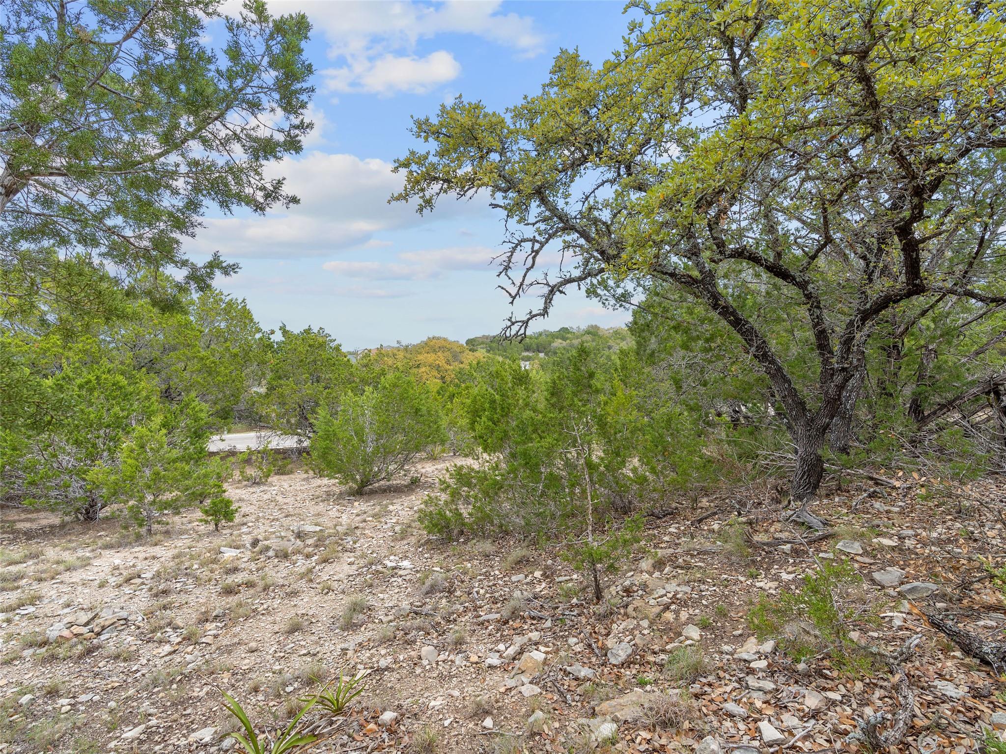21509 Paine Avenue Lago Vista TX 78645