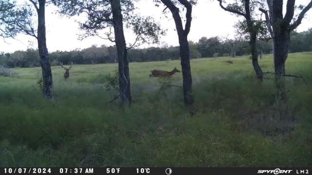Lot 118 Phase 6 Pr 42102 Evant TX 76525