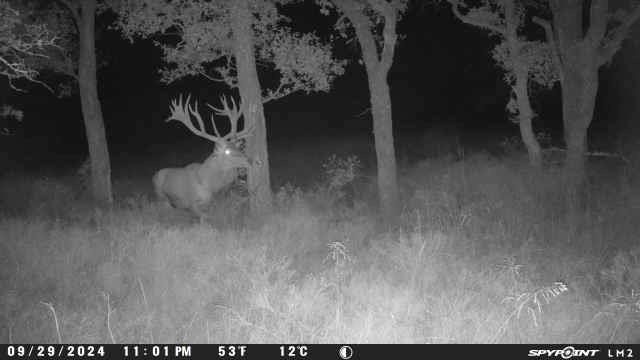 Lot 118 Phase 6 Pr 42102 Evant TX 76525