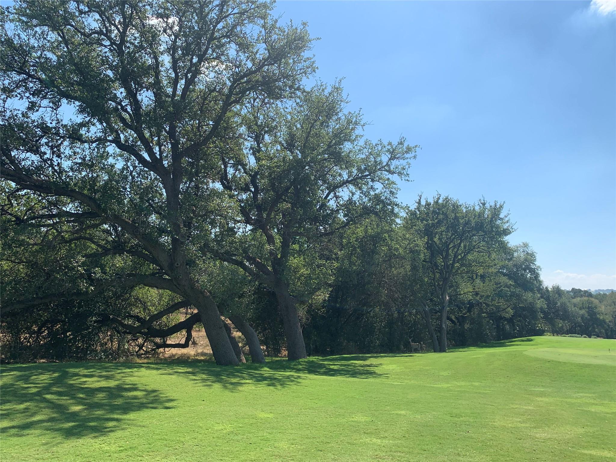 0000 Lachite Drive Horseshoe Bay TX 78657