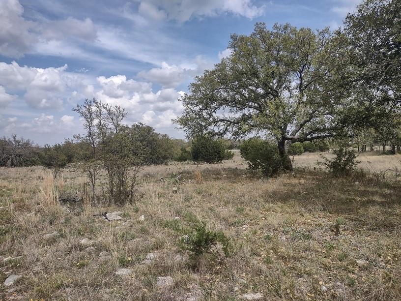 622 Blackbuck Ridge Drive Lampasas TX 76550