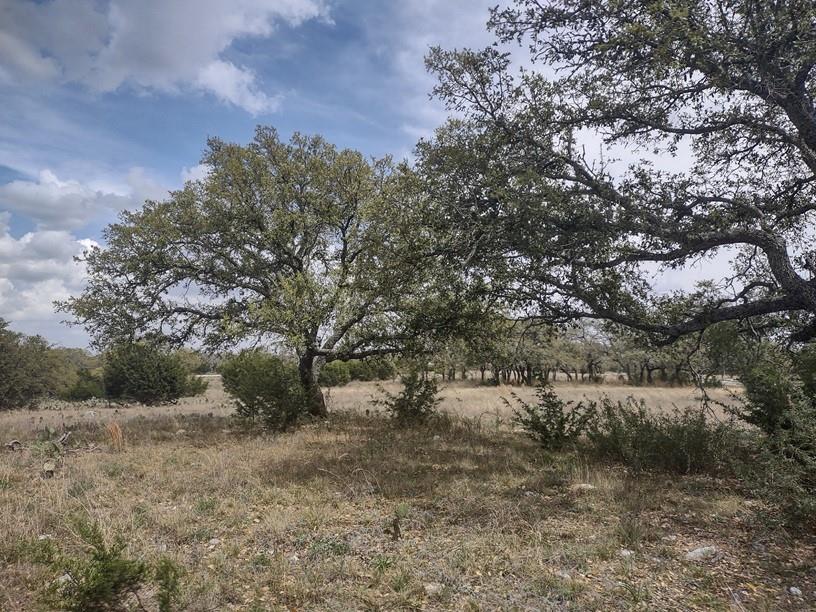 622 Blackbuck Ridge Drive Lampasas TX 76550