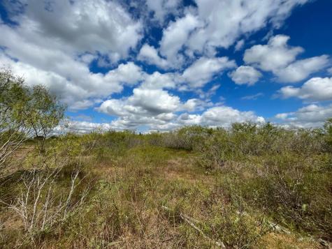 775_LOT 4 Thompson Road Dale TX 78616