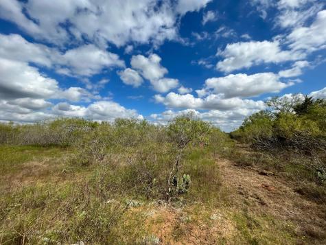 775_LOT 4 Thompson Road Dale TX 78616