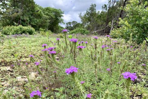 Lot 7 Sawtooth Drive Bertram TX 78605