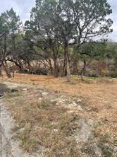 3705 High Line Drive Lago Vista TX 78645