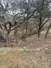 3705 High Line Drive Lago Vista TX 78645