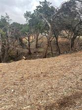 3705 High Line Drive Lago Vista TX 78645