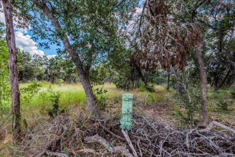 Tbd Founders Park Road Dripping Springs TX 78620