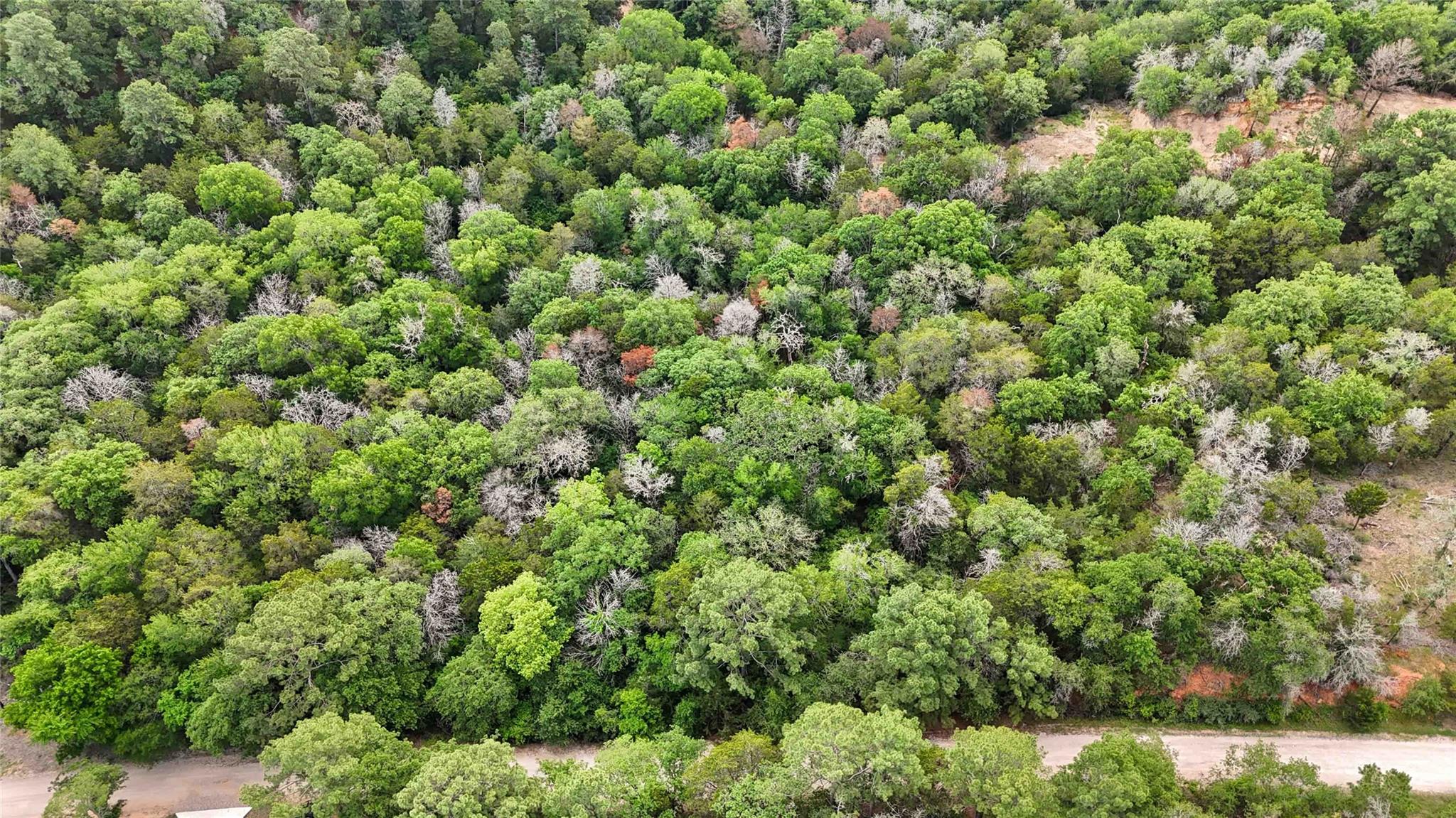 135 Helemano Drive Bastrop TX 78602