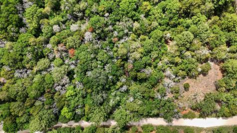 135 Helemano Drive Bastrop TX 78602
