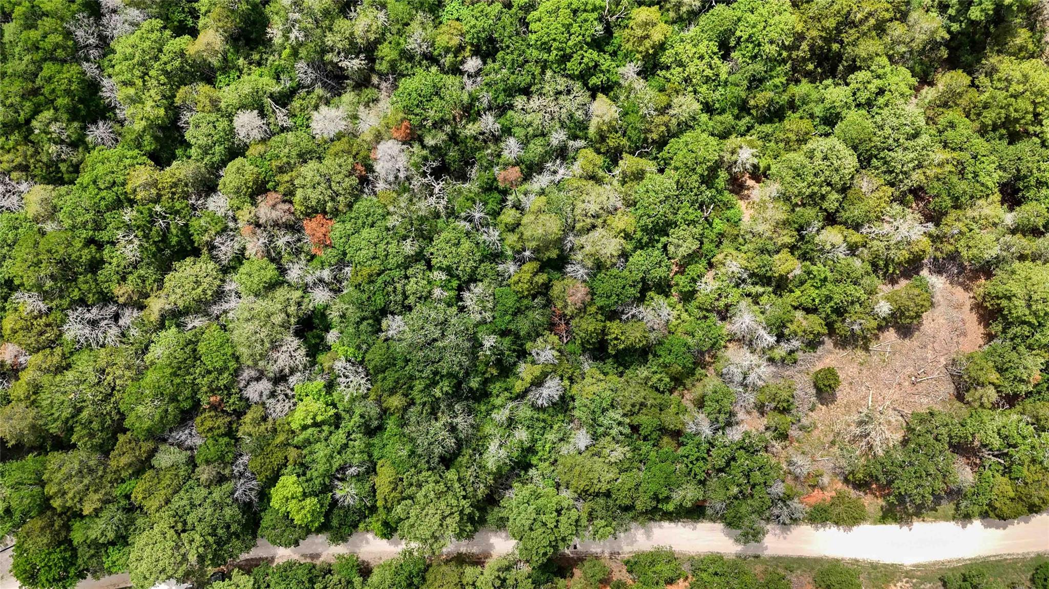 135 Helemano Drive Bastrop TX 78602