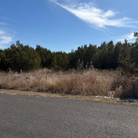 310 Sundance Trail Liberty Hill TX 78642