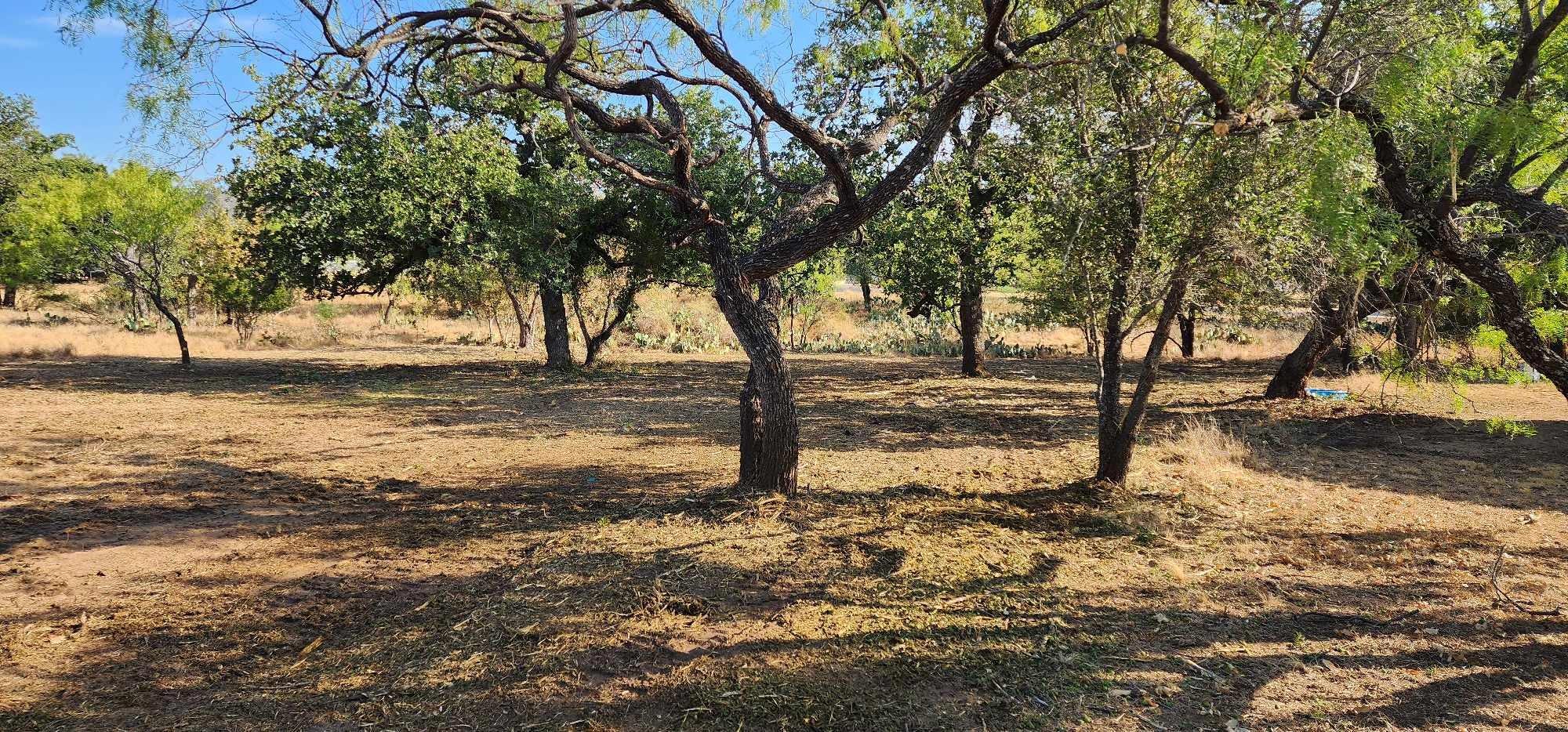 8529 Bluebonnet Granite Shoals TX 78654