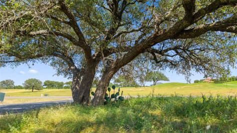 25801 Cliff Cove Spicewood TX 78669