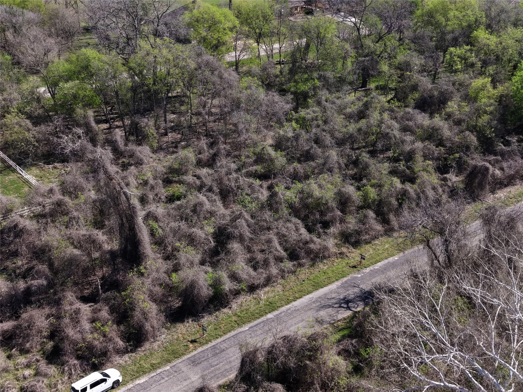 450 Riverside Drive Bastrop TX 78602