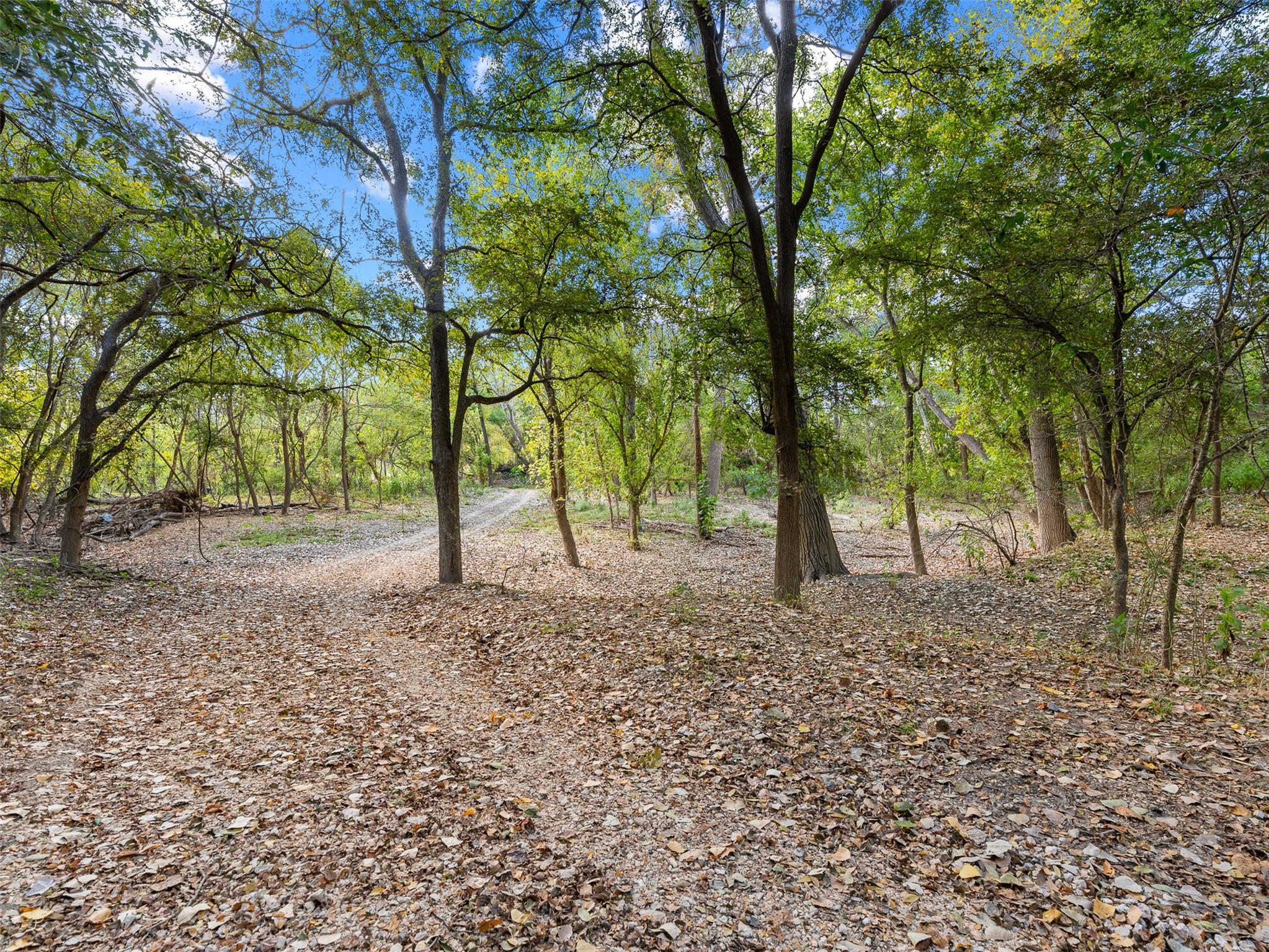 Tract 3 Us Highway 90 Alt Seguin TX 78155