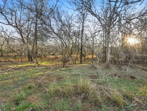 Tract 3 Us Highway 90 Alt Seguin TX 78155