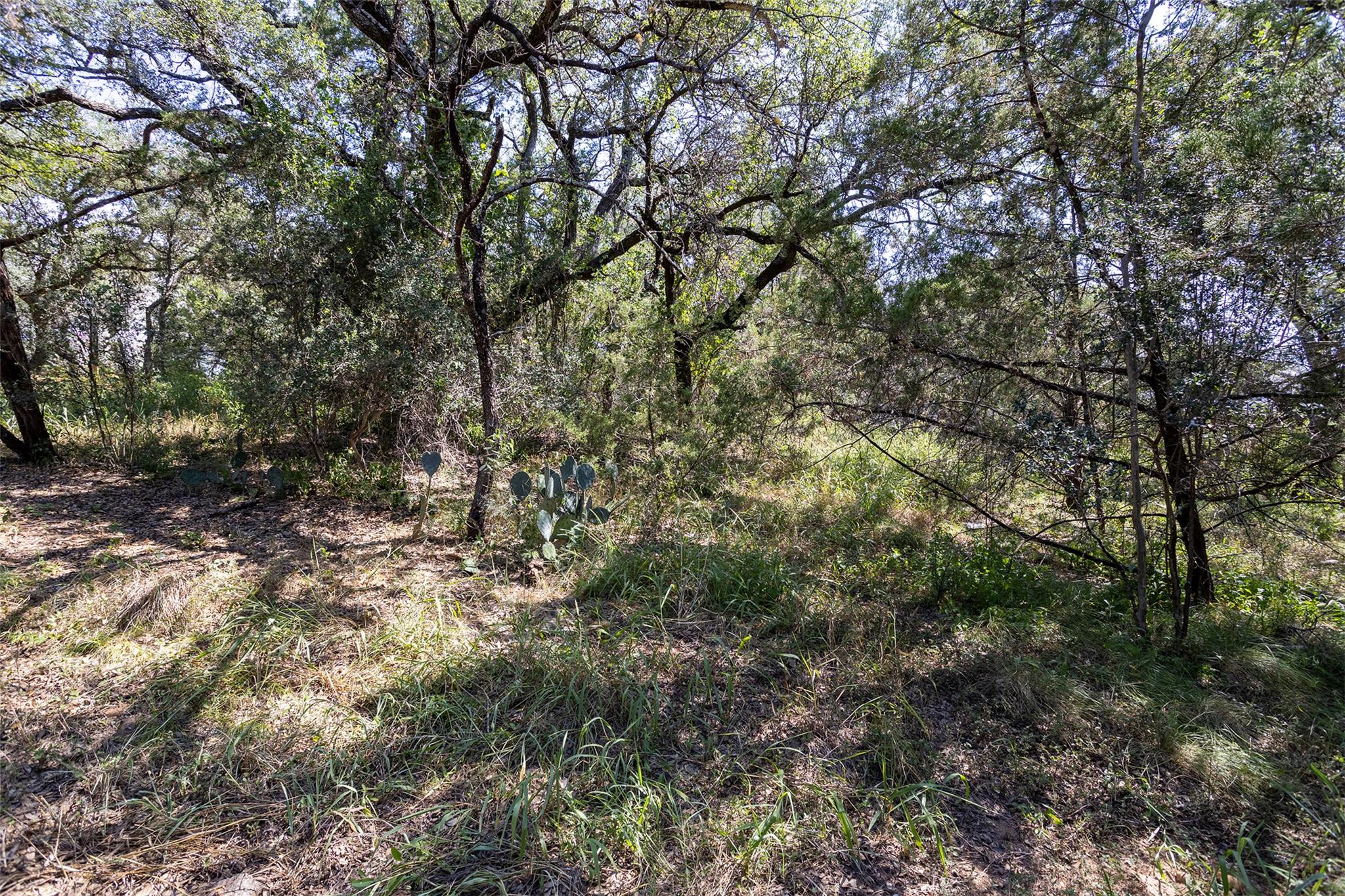Tbd Laurel Lane Spicewood TX 78669