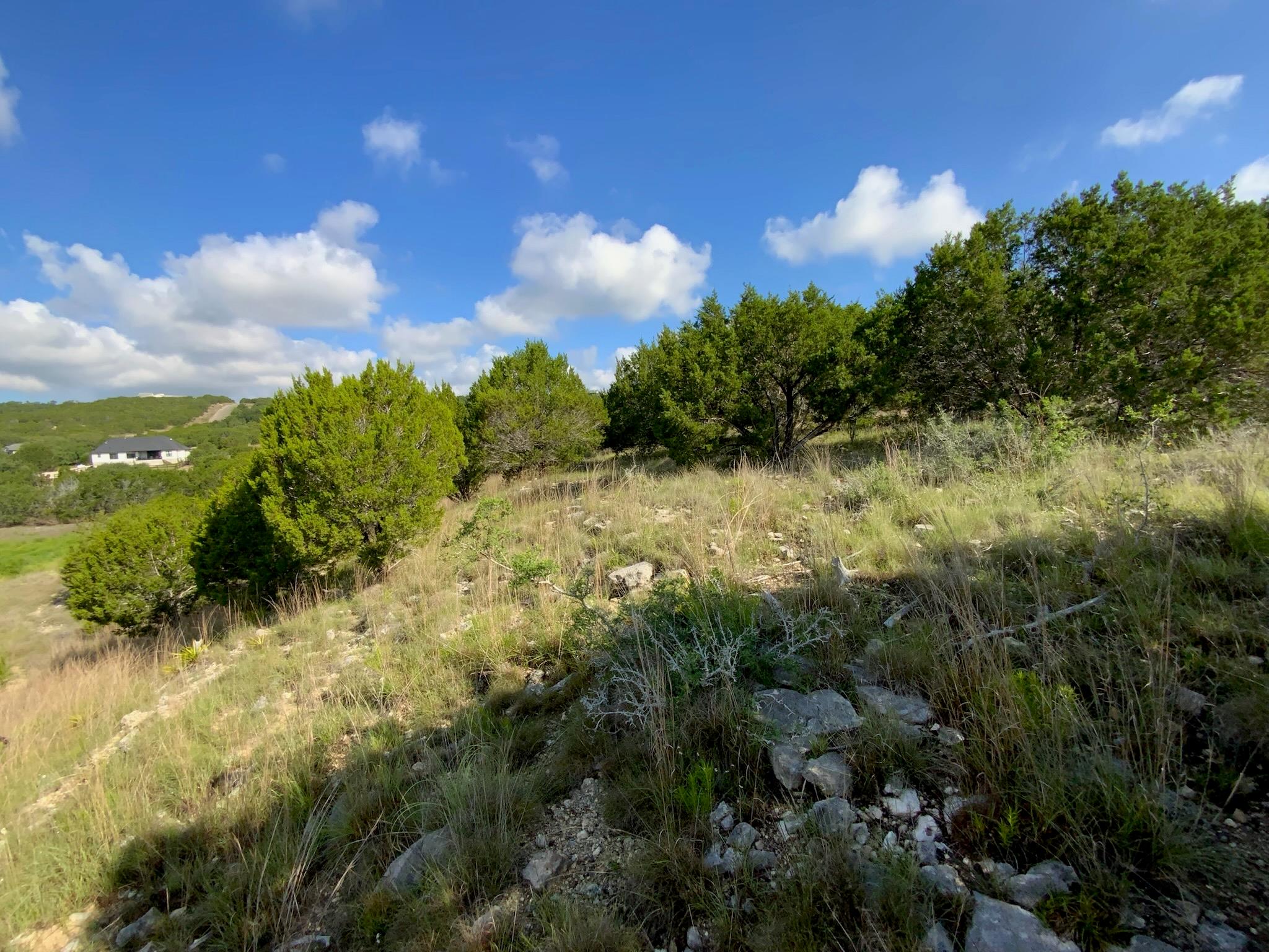 Lot 133 Spring Hollow Drive Bertram TX 78605