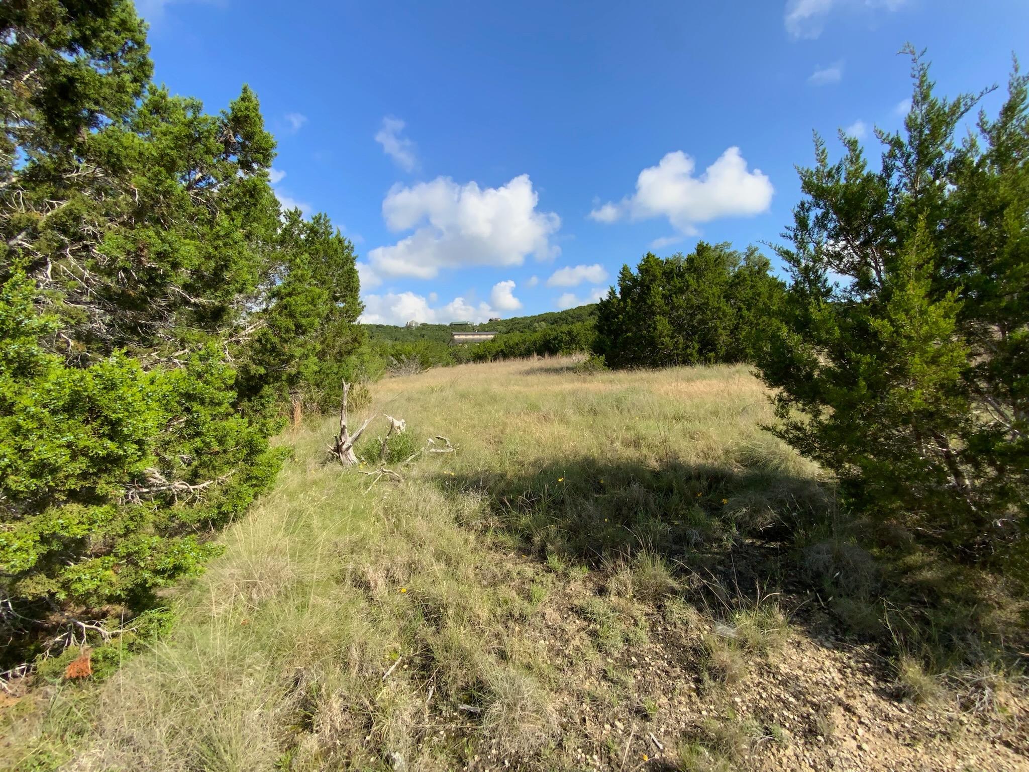 Lot 133 Spring Hollow Drive Bertram TX 78605
