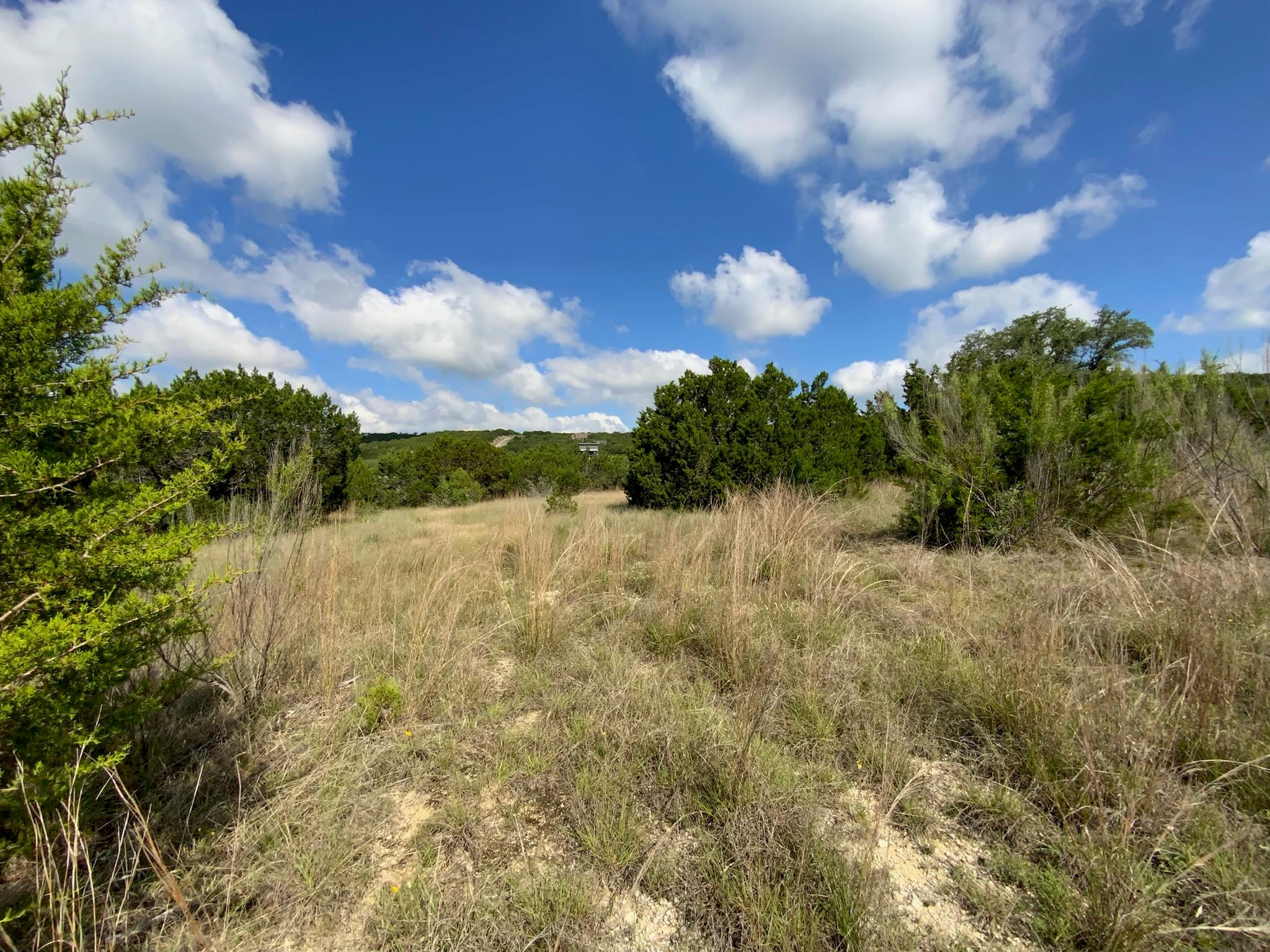Lot 133 Spring Hollow Drive Bertram TX 78605