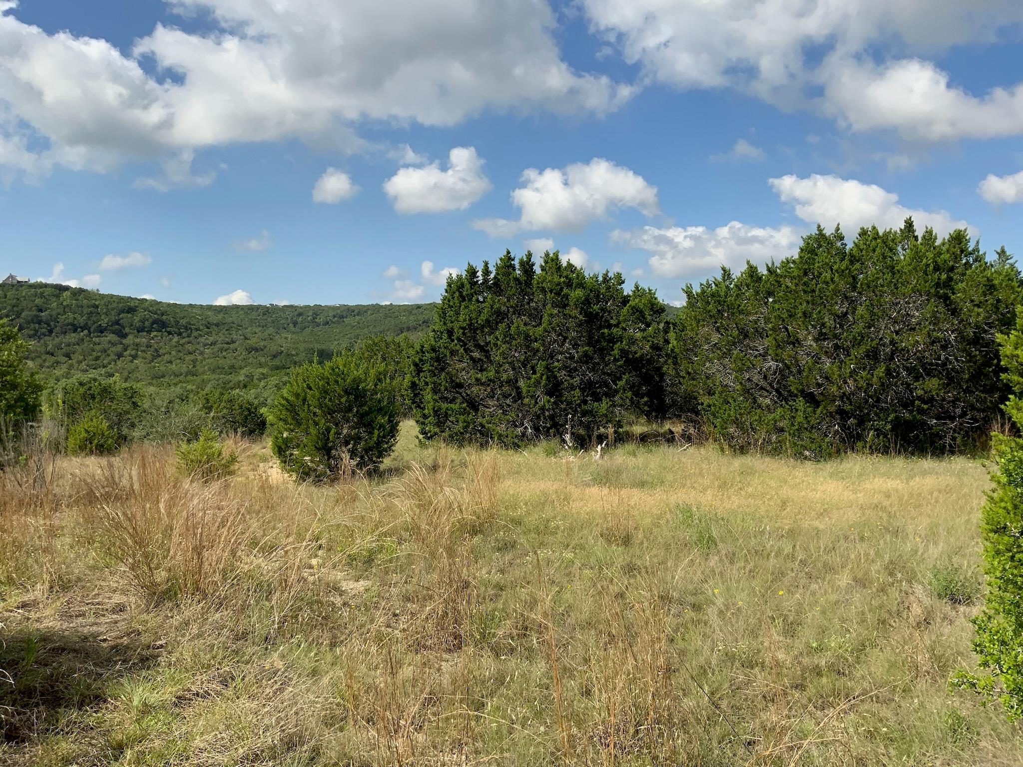Lot 133 Spring Hollow Drive Bertram TX 78605