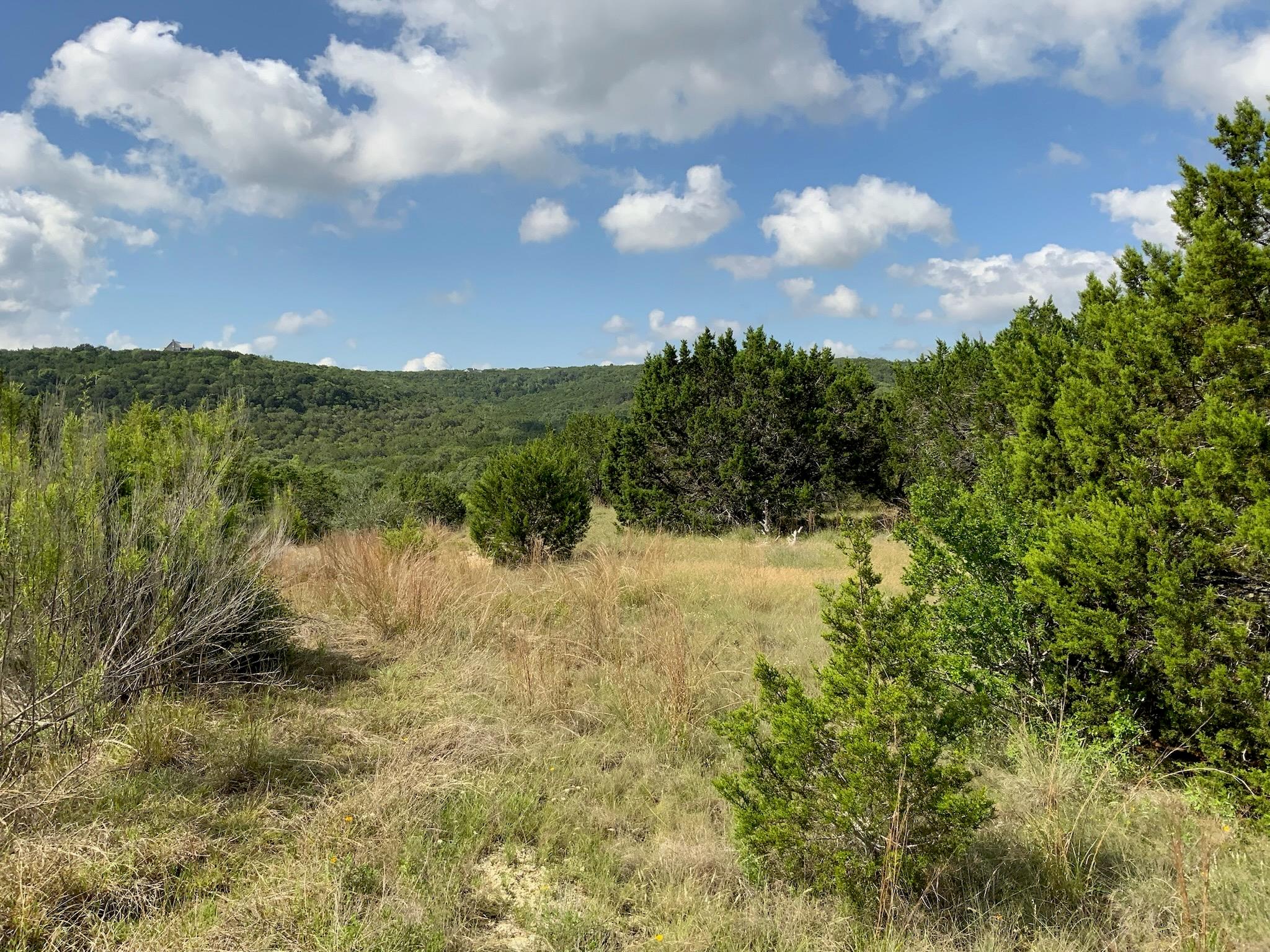 Lot 133 Spring Hollow Drive Bertram TX 78605