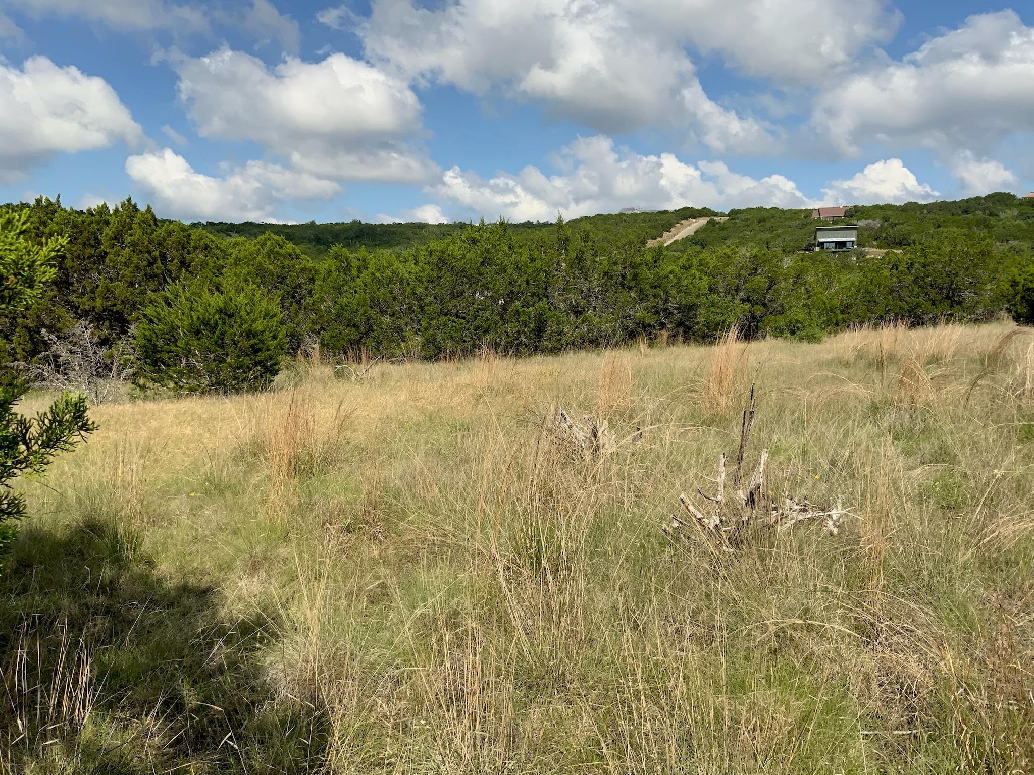 Lot 133 Spring Hollow Drive Bertram TX 78605
