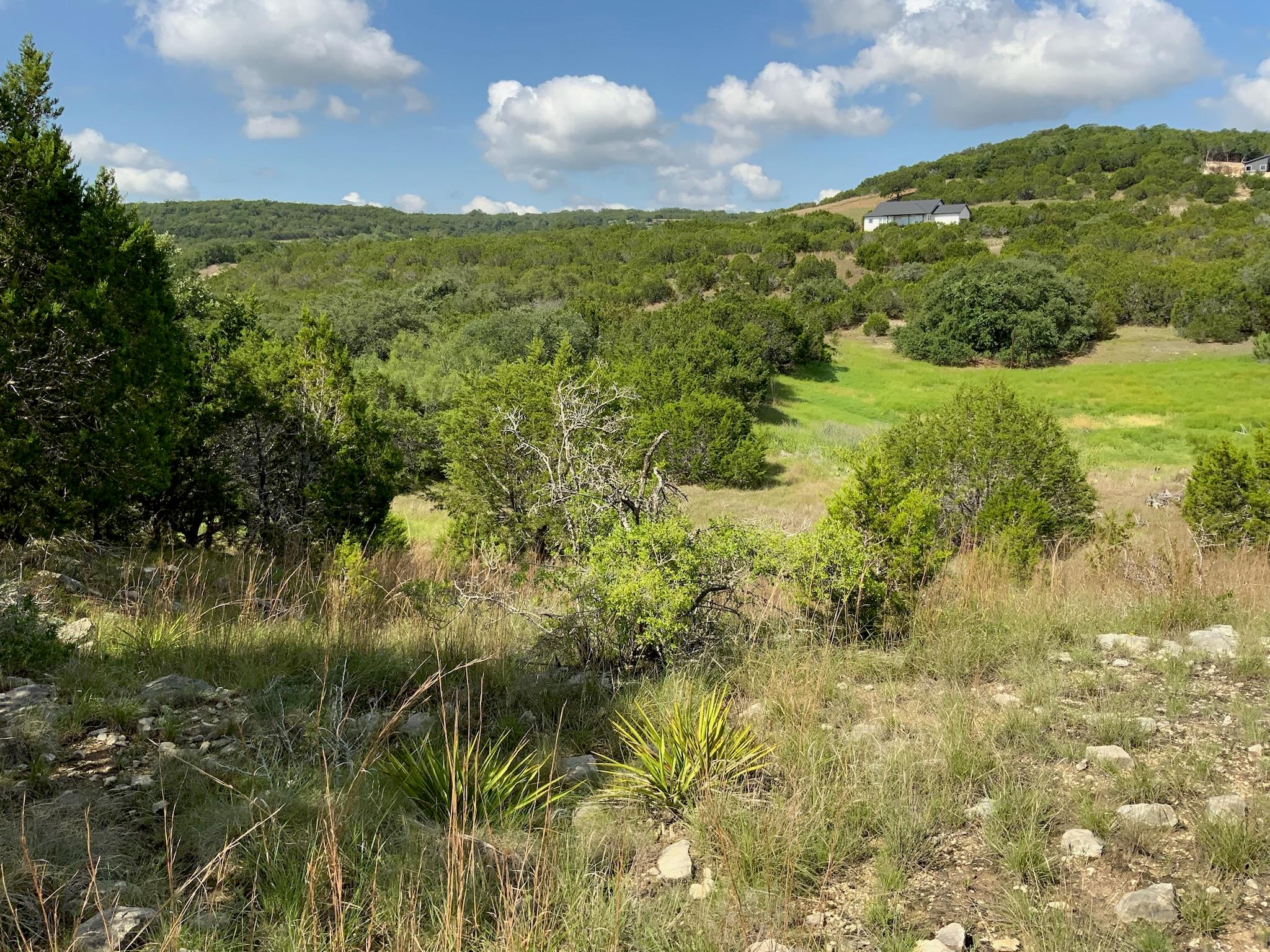 Lot 133 Spring Hollow Drive Bertram TX 78605