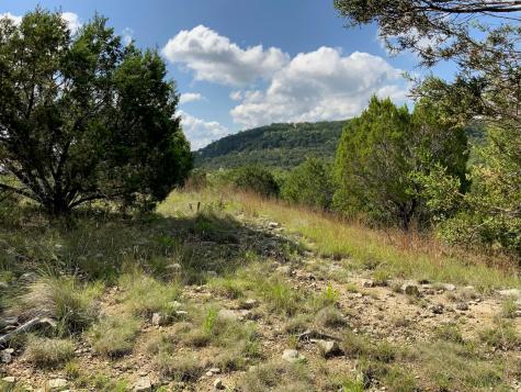 Lot 133 Spring Hollow Drive Bertram TX 78605