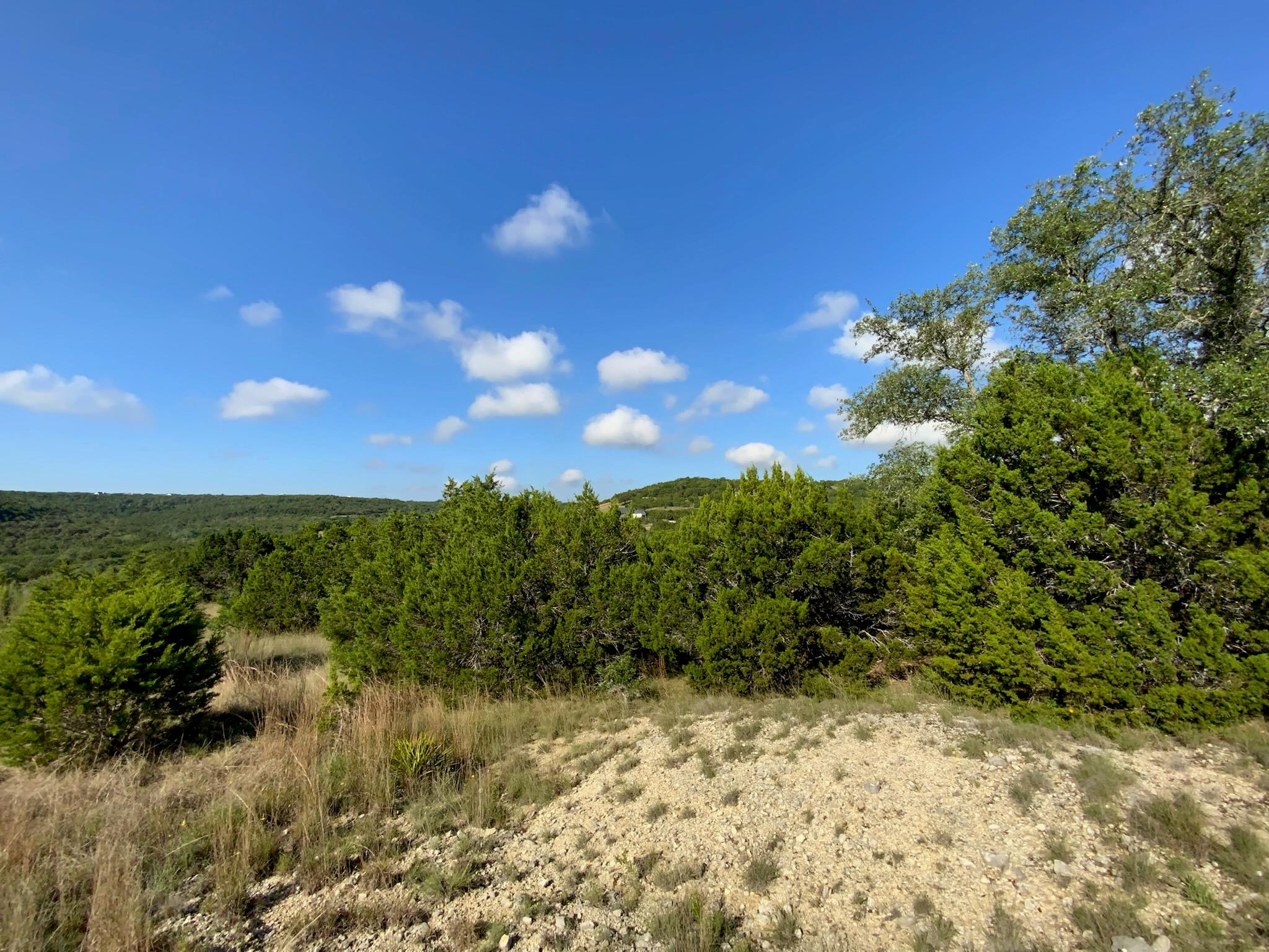Lot 133 Spring Hollow Drive Bertram TX 78605