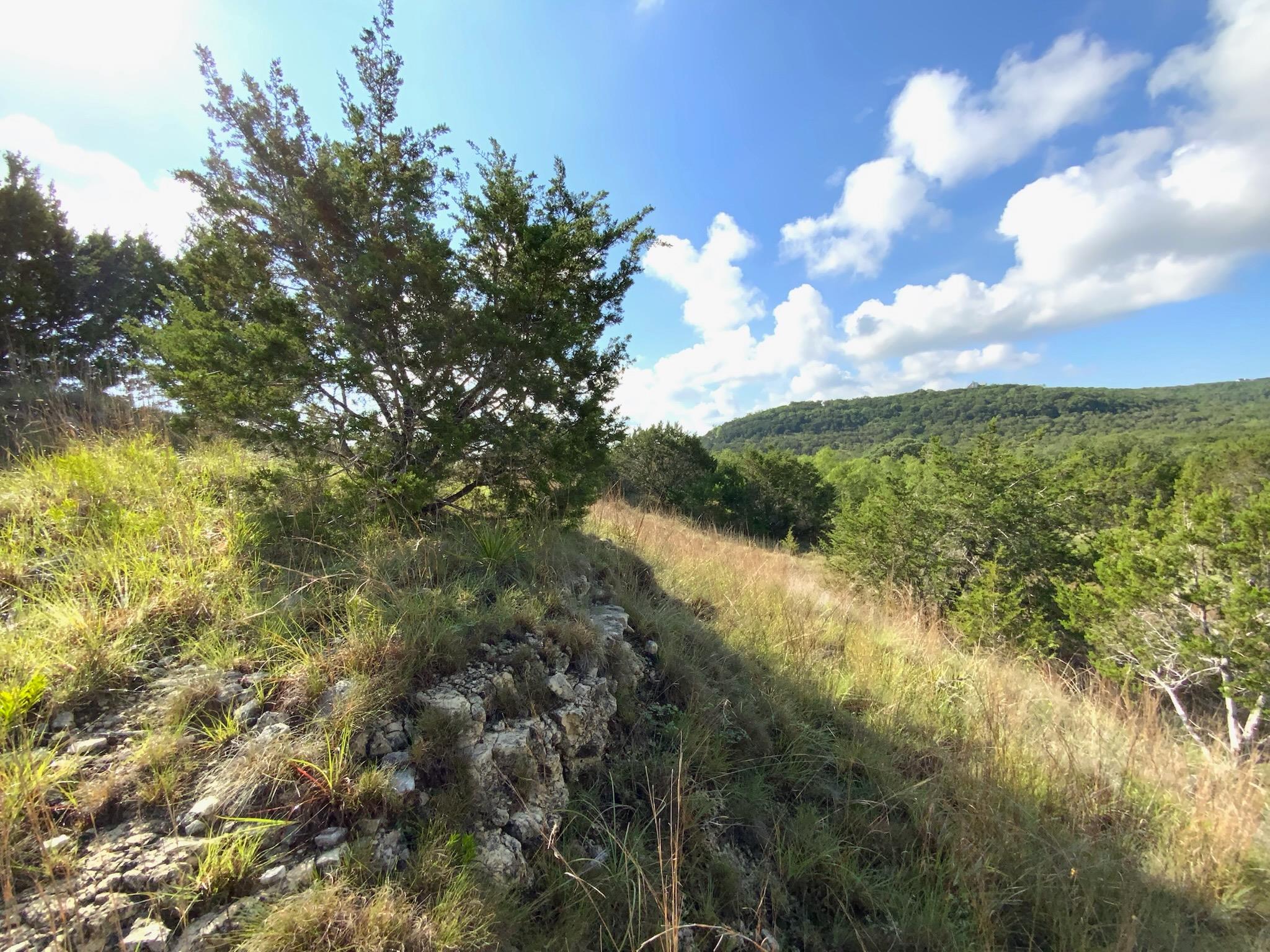 Lot 133 Spring Hollow Drive Bertram TX 78605