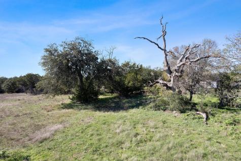 815 Holder Lane Dripping Springs TX 78620