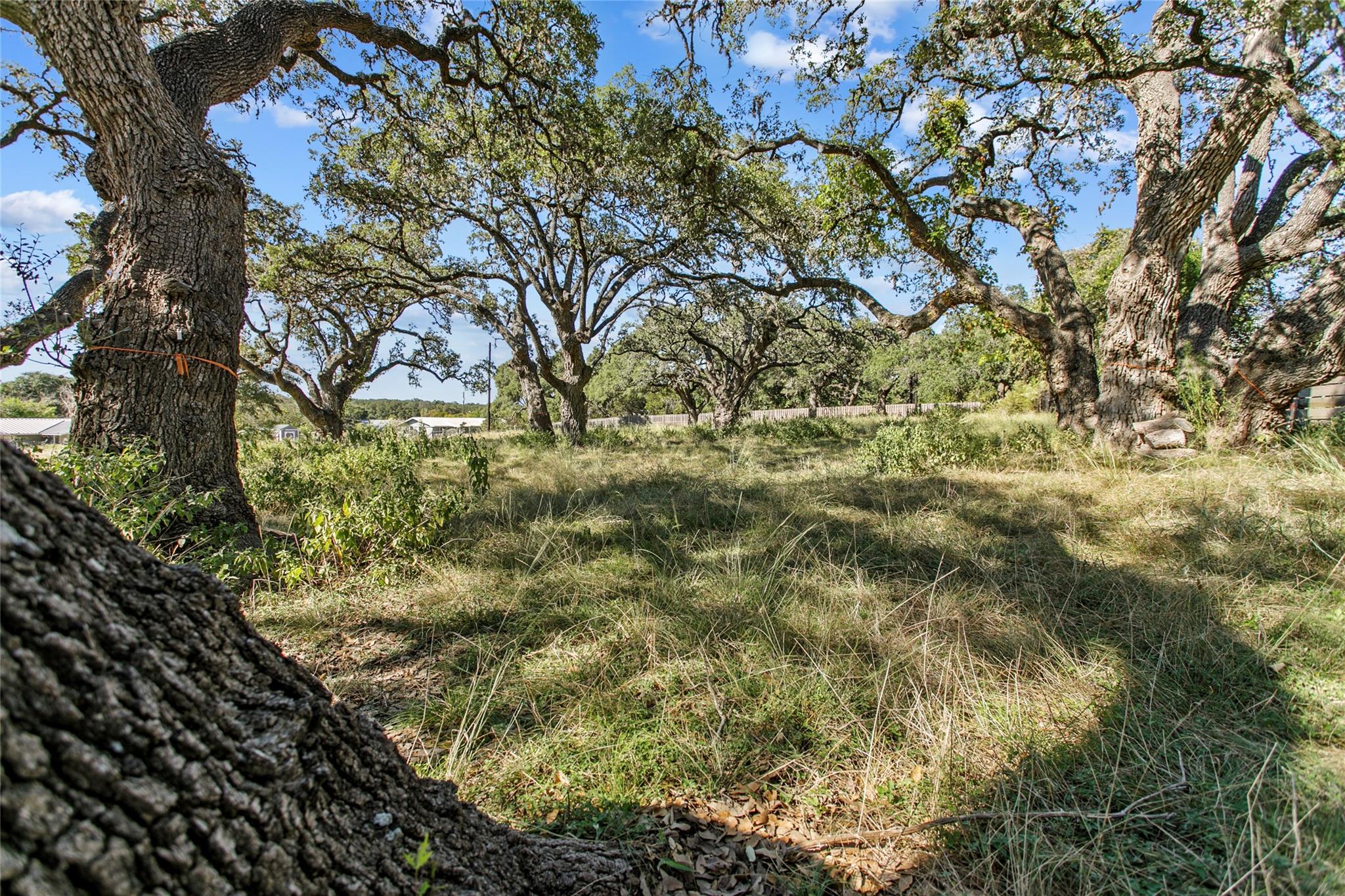 1410 Greenlawn Parkway Blanco TX 78606