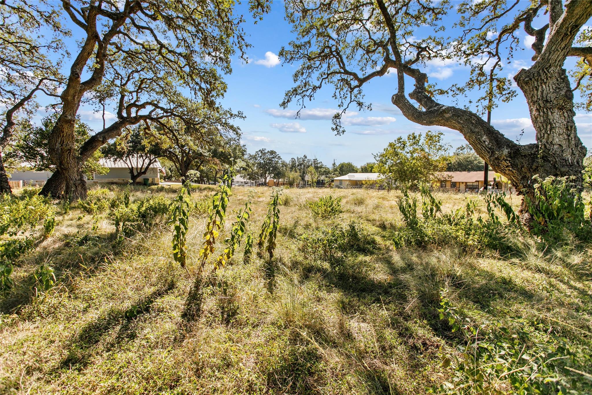 1410 Greenlawn Parkway Blanco TX 78606