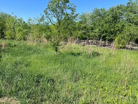 W Brook St(lot #2, Bk 72) W Brook Street Bartlett TX 76511
