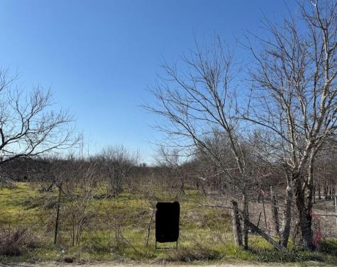 W Brook St(lot #2, Bk 72) W Brook Street Bartlett TX 76511