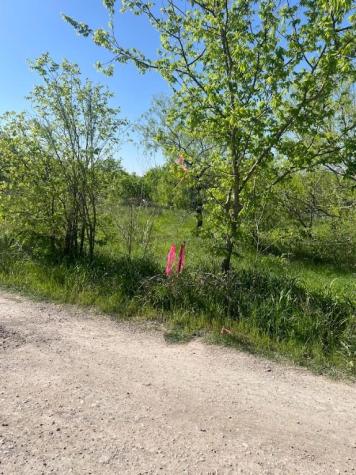 W Brook St(lot #2, Bk 72) W Brook Street Bartlett TX 76511