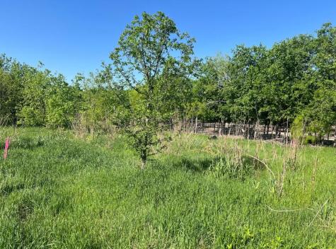 W Brook St(lot #2, Bk 72) W Brook Street Bartlett TX 76511