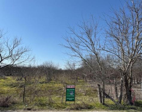 W Brook St(lot #2, Bk 72) W Brook Street Bartlett TX 76511