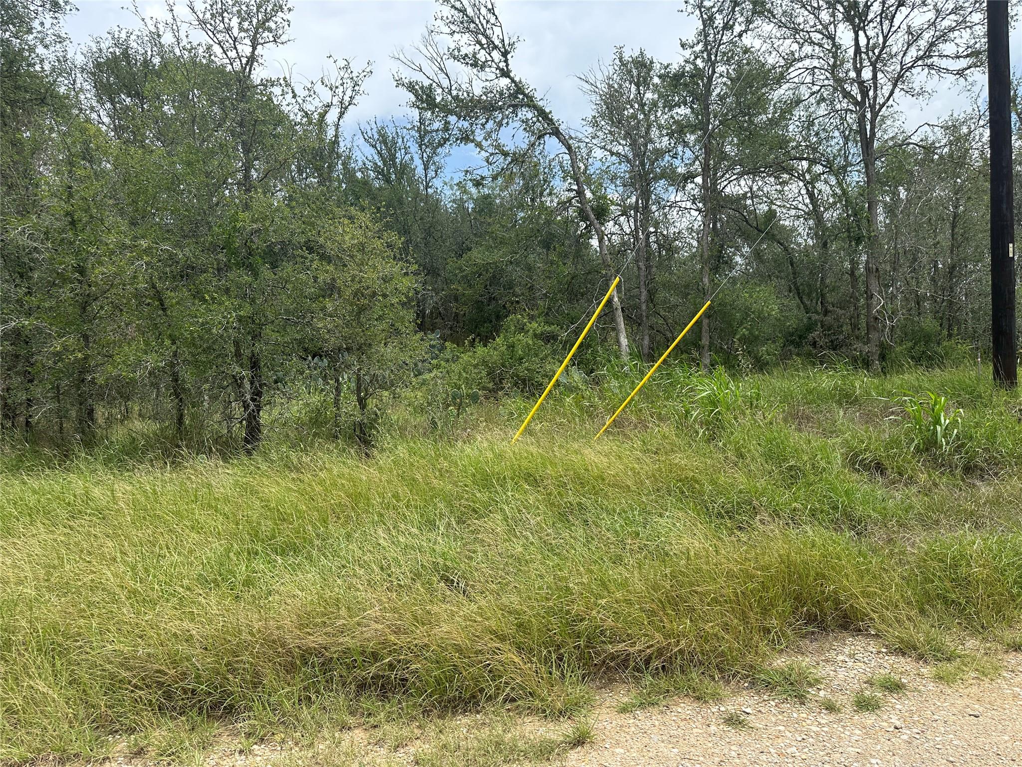 189 Puu Waa Waa Lane Bastrop TX 78602