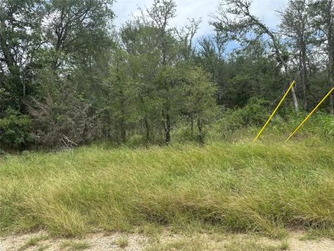 189 Puu Waa Waa Lane Bastrop TX 78602