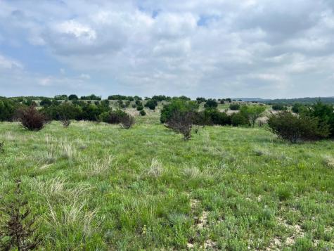 4847 Cr 3300-tract 3, 8 & 12 Kempner TX 76539