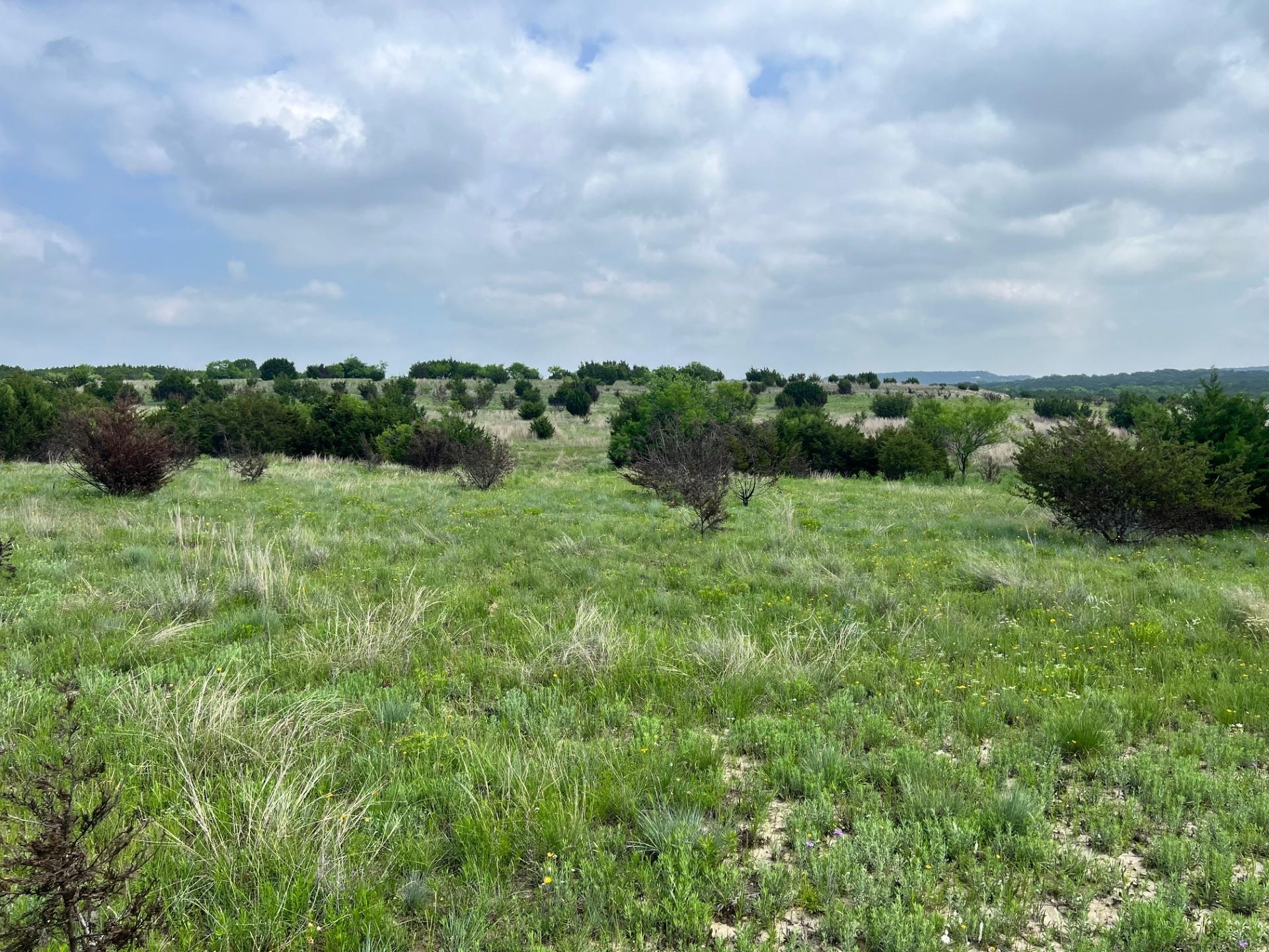 4847 Cr 3300-tract 3, 8 & 12 Kempner TX 76539