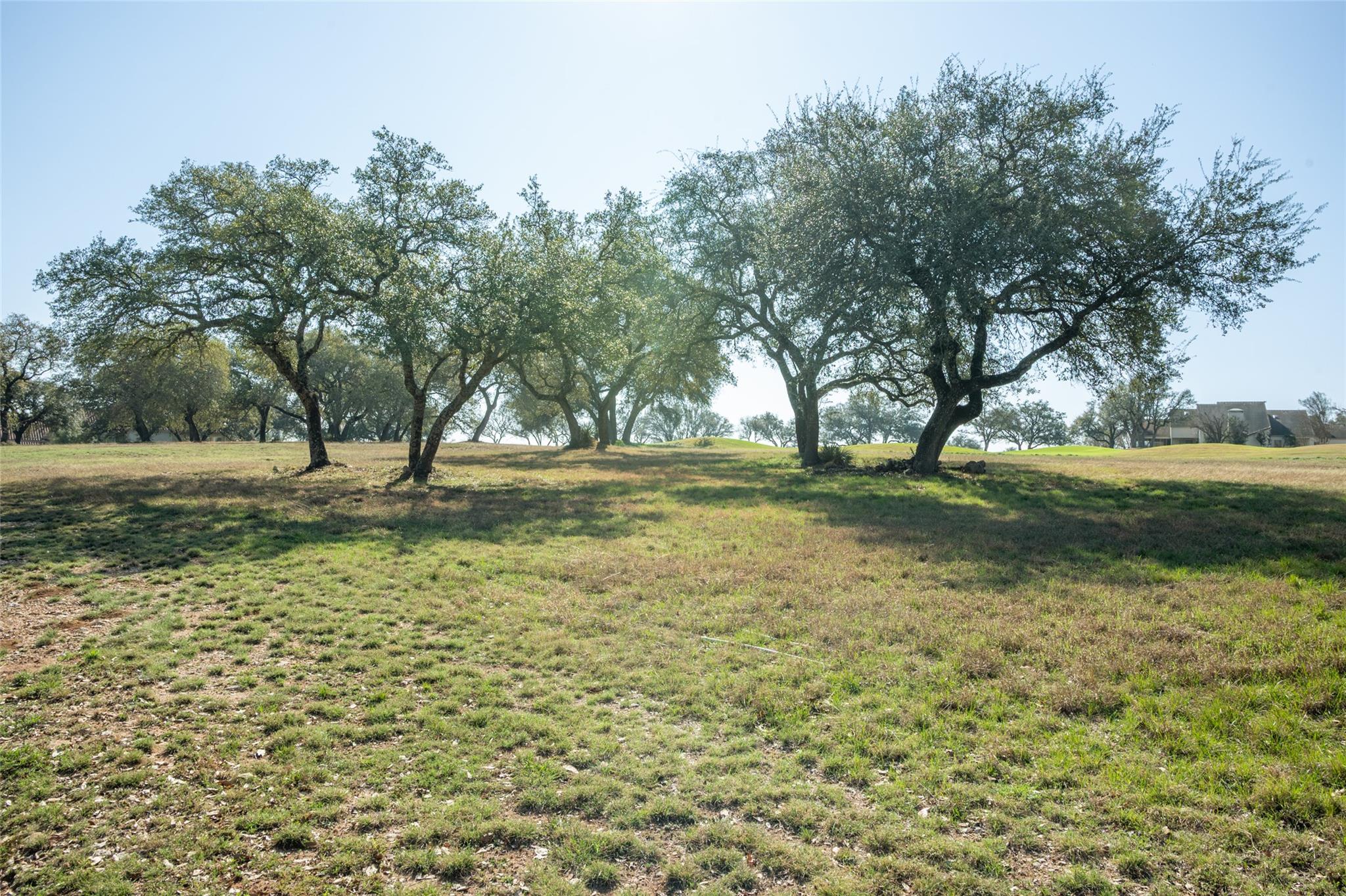 27113 Founders Place Spicewood TX 78669